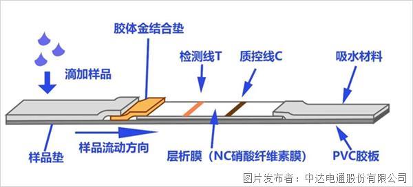 防疫新武器 抗原自測(cè)試劑盒來了！(圖6)